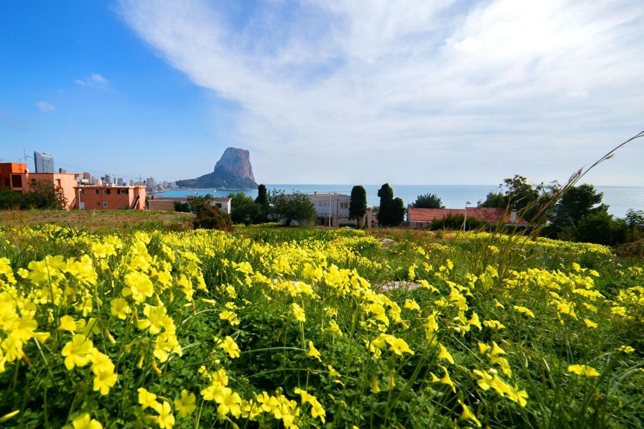 Homeincalpe Borumbot 外观 照片